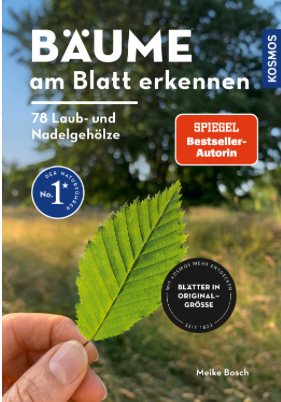 Bäume am Blatt erkennen