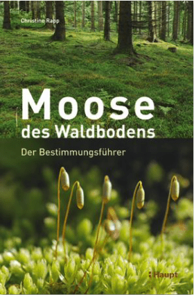 Moose des Waldbodens