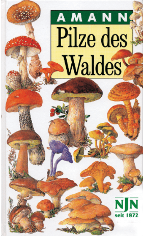 Pilze des Waldes