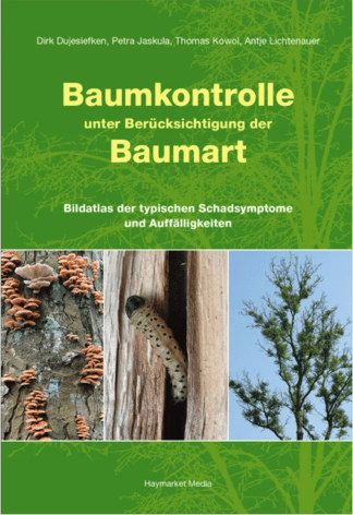 Baumkontrolle unter Berücksichtigung der Baumart
